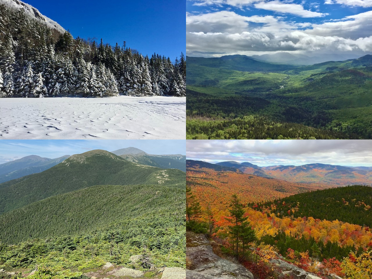 Some of my photos from the White Mountains during each season